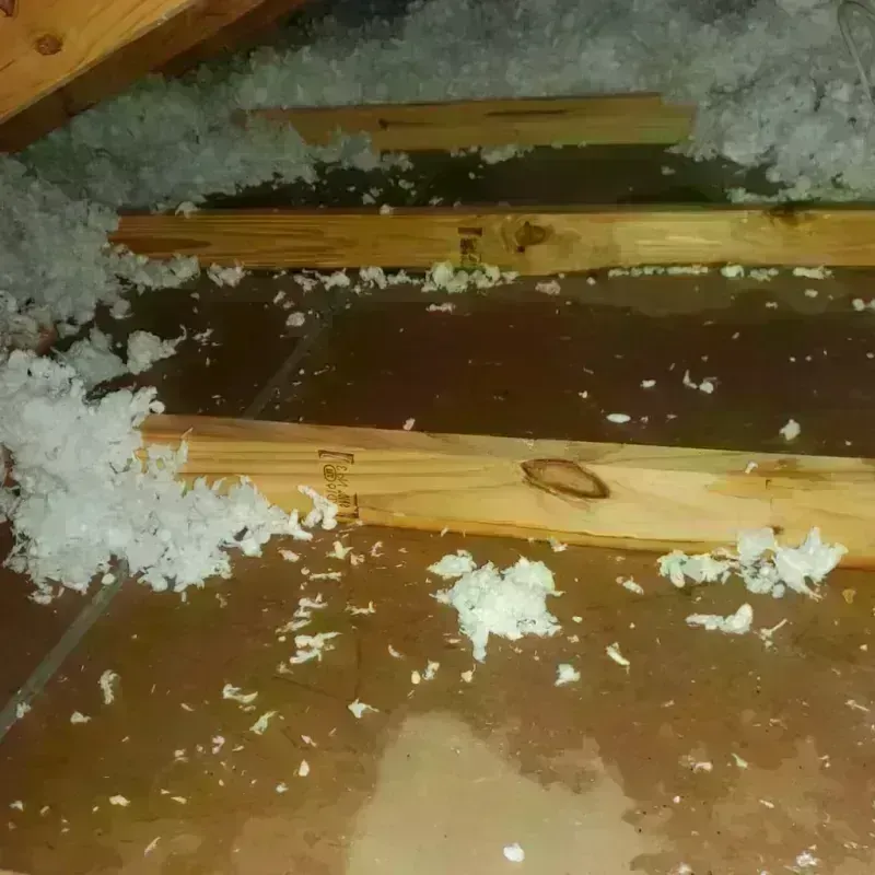 Attic Water Damage in Lakeview, OR