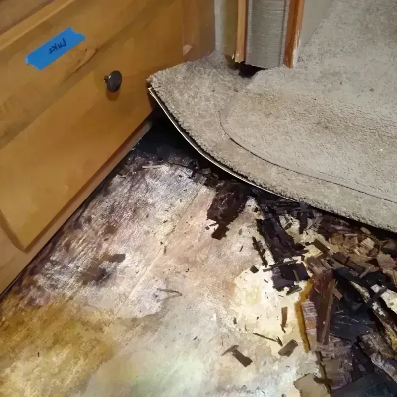 Best Wood Floor Water Damage Service in Lakeview, OR